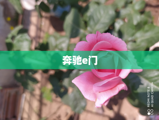 奔驰e门