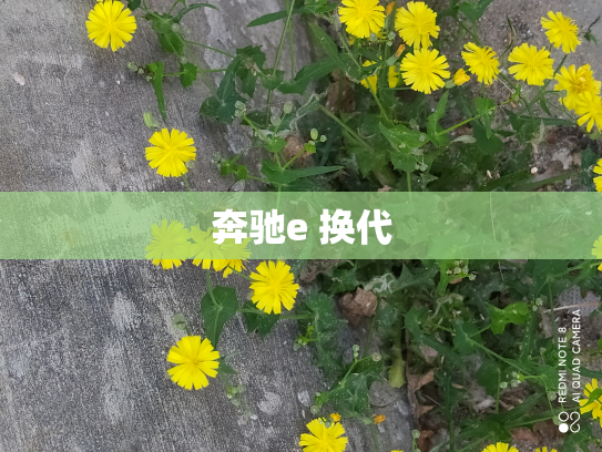 奔驰e 换代