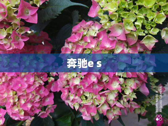 奔驰e s