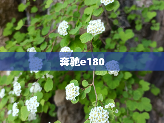 奔驰e180