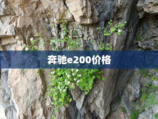 奔驰e200价格