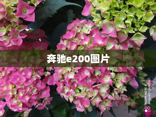 奔驰e200图片