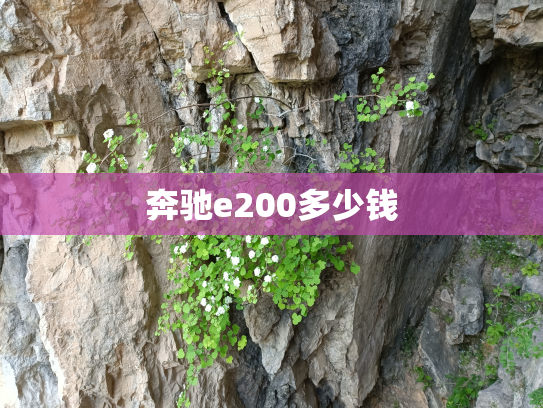 奔驰e200多少钱