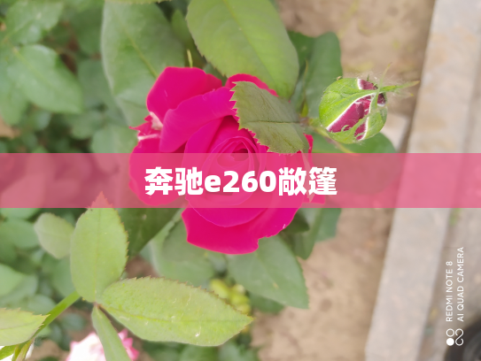 奔驰e260敞篷