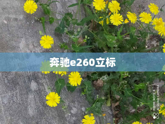 奔驰e260立标