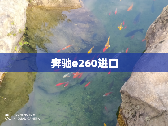奔驰e260进口