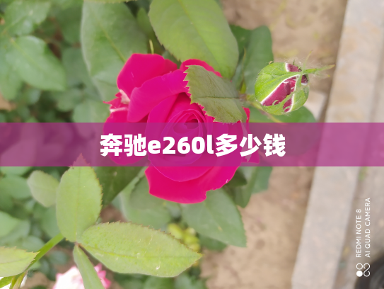 奔驰e260l多少钱