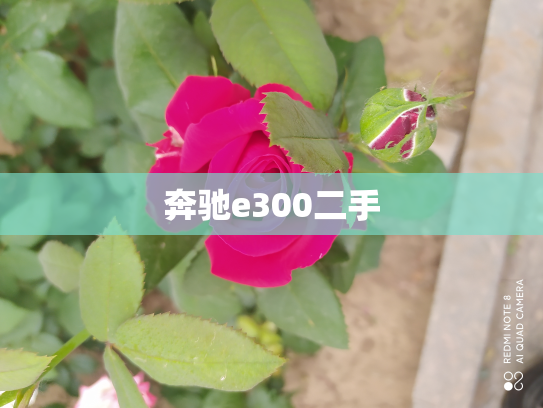 奔驰e300二手