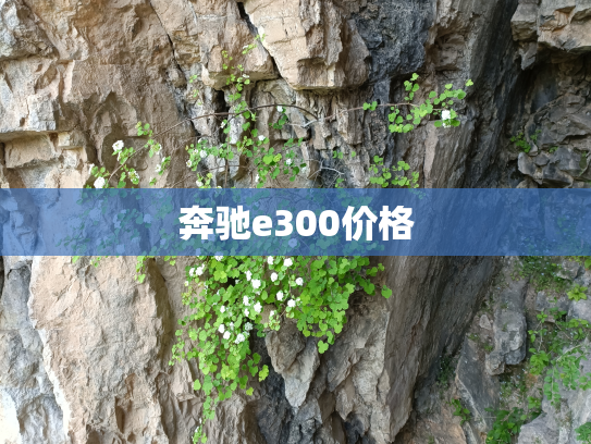奔驰e300价格