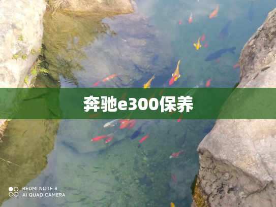 奔驰e300保养
