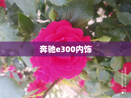 奔驰e300内饰