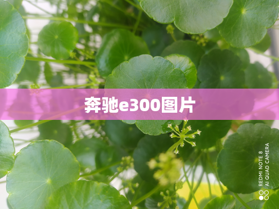 奔驰e300图片