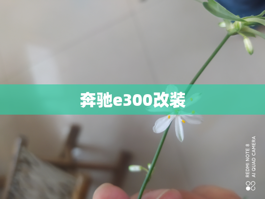 奔驰e300改装