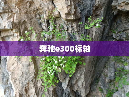 奔驰e300标轴