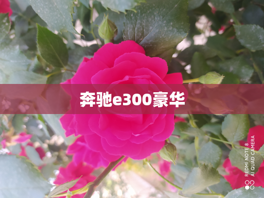 奔驰e300豪华