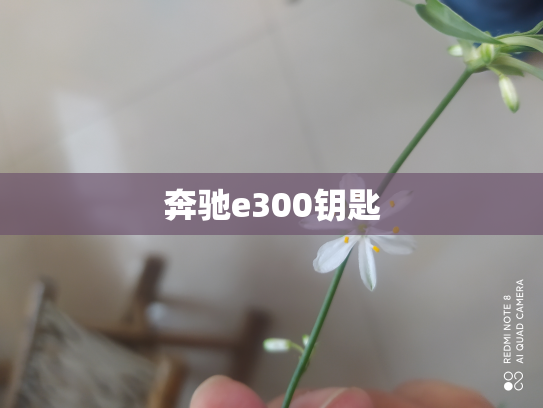 奔驰e300钥匙