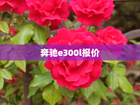 奔驰e300l报价