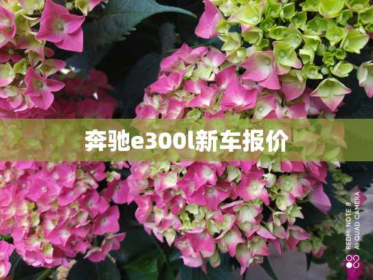 奔驰e300l新车报价