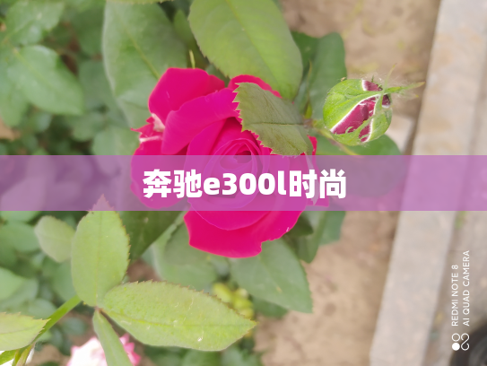 奔驰e300l时尚