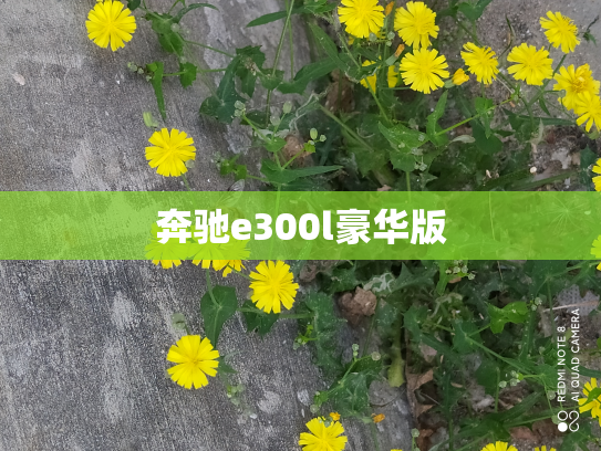 奔驰e300l豪华版