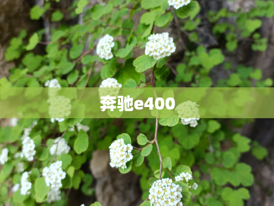 奔驰e400