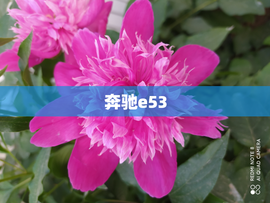 奔驰e53