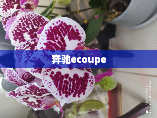 奔驰ecoupe