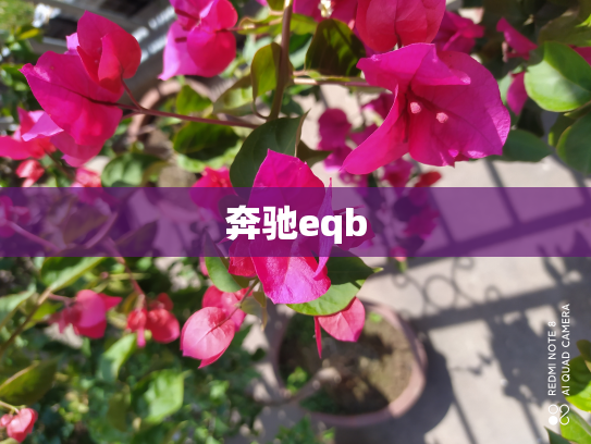 奔驰eqb