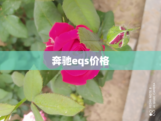 奔驰eqs价格
