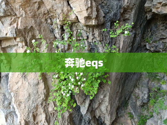 奔驰eqs