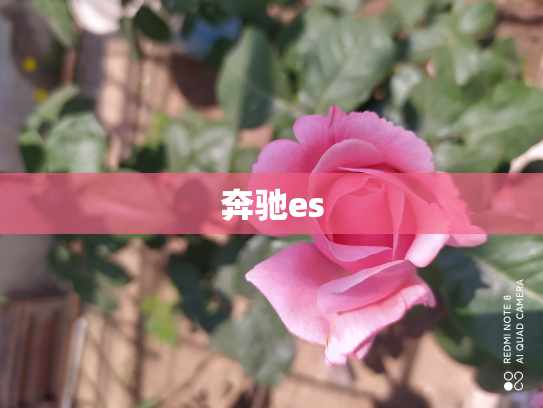 奔驰es
