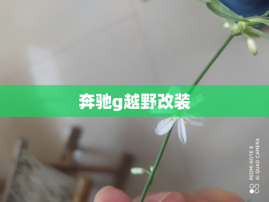 奔驰g越野改装