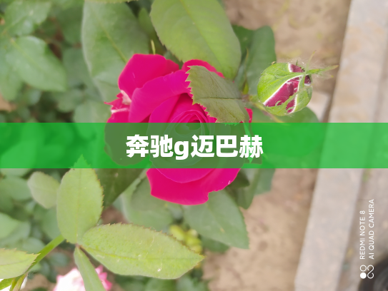 奔驰g迈巴赫