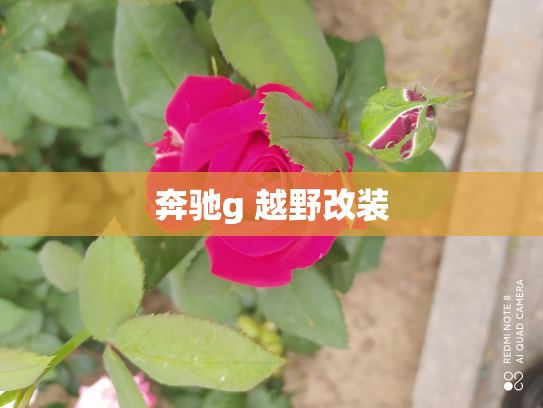 奔驰g 越野改装