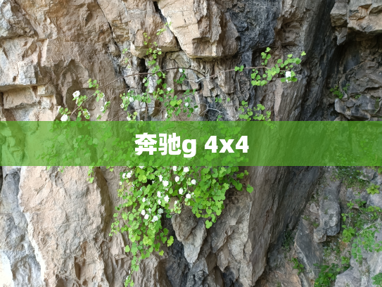 奔驰g 4x4