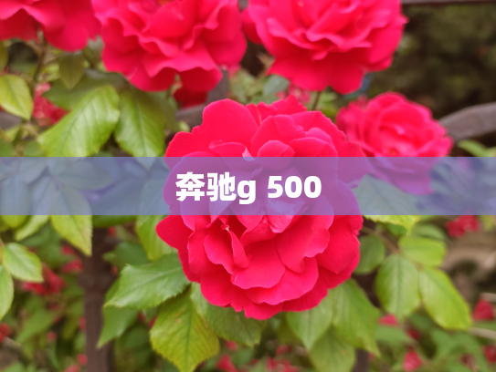 奔驰g 500