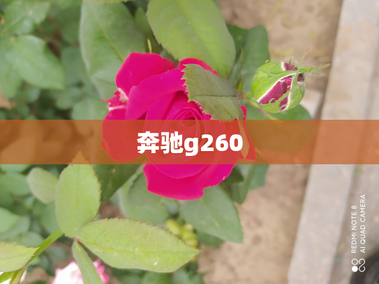 奔驰g260