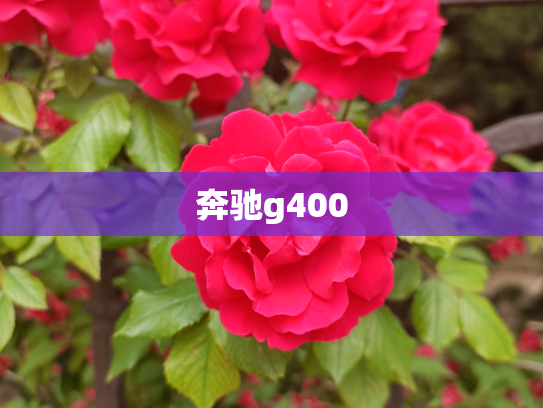 奔驰g400