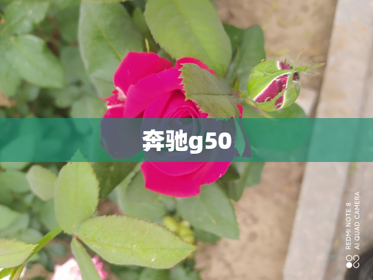 奔驰g50