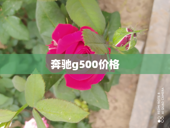 奔驰g500价格