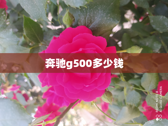 奔驰g500多少钱