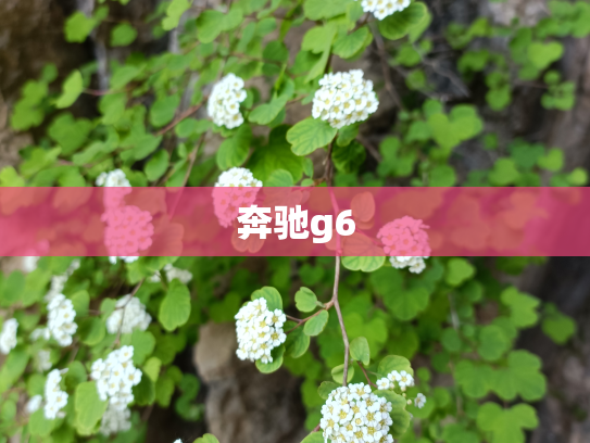 奔驰g6