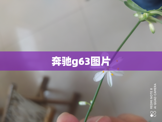 奔驰g63图片