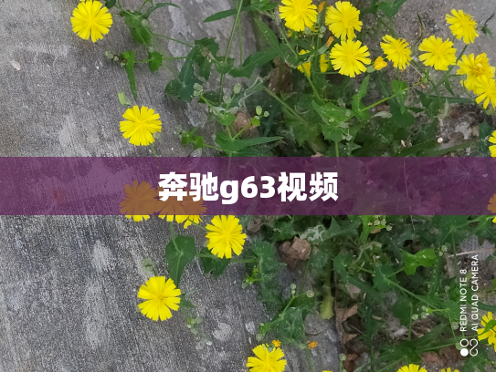 奔驰g63视频
