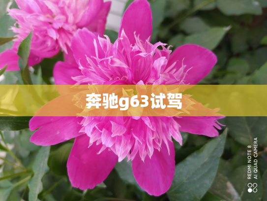 奔驰g63试驾