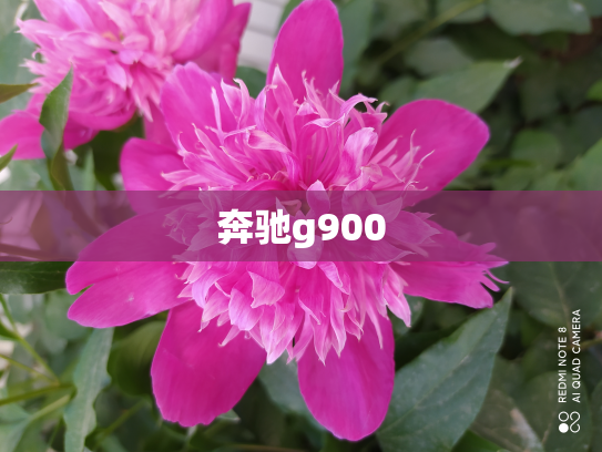 奔驰g900