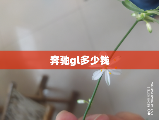 奔驰gl多少钱