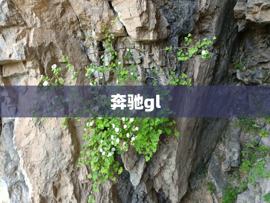 奔驰gl