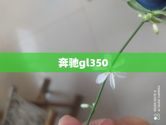 奔驰gl350