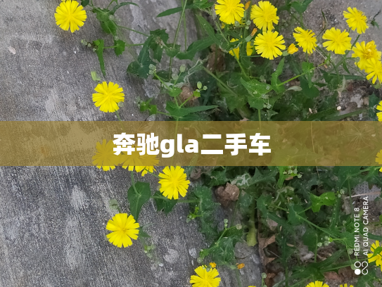 奔驰gla二手车